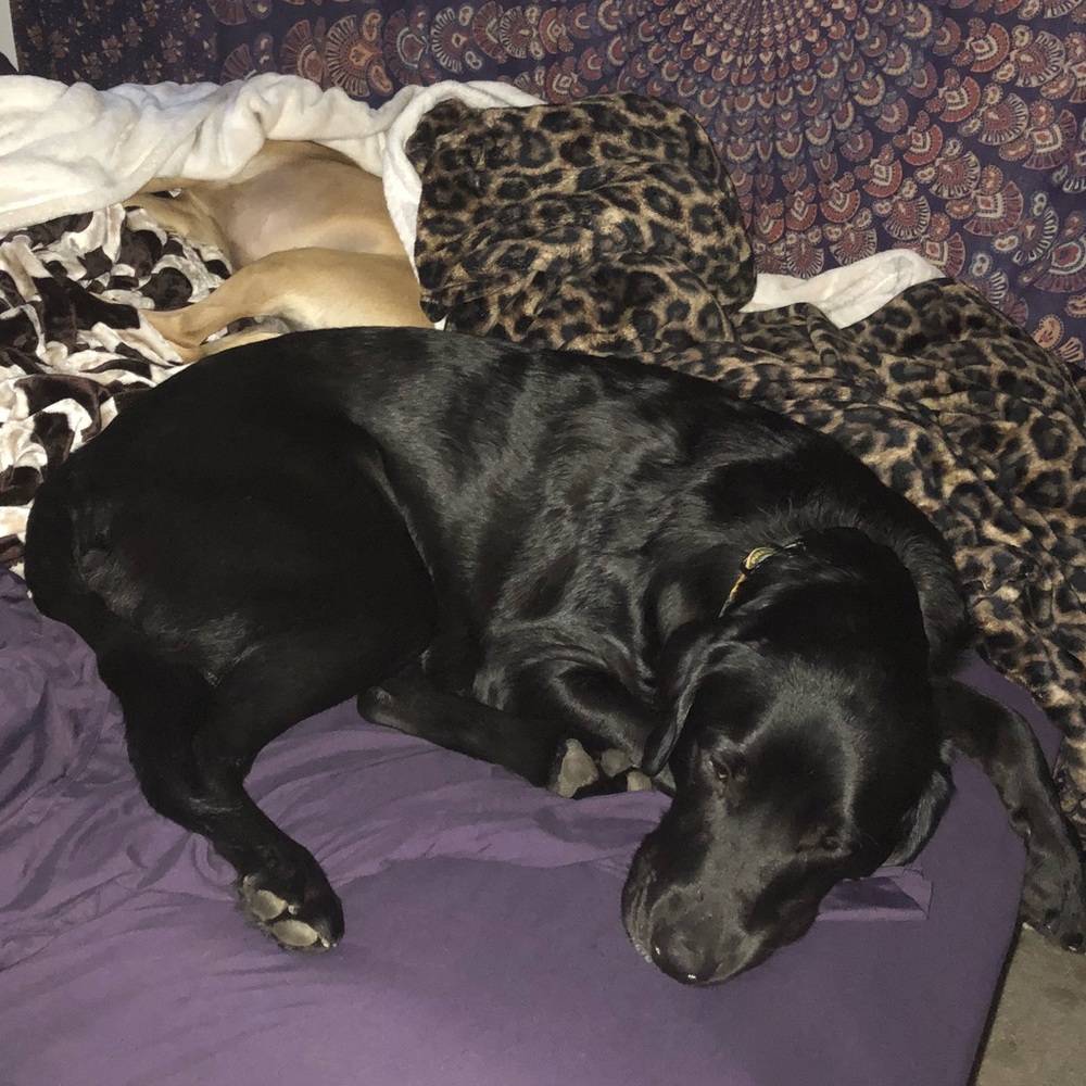 Meet your Posher, Jenna